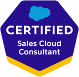 Certified Sales Consultant